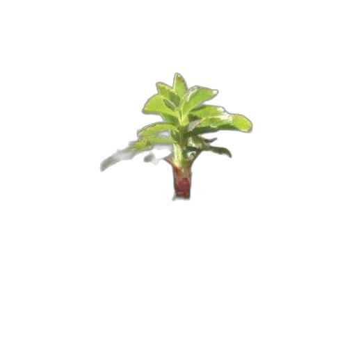 tree, flower, crown, creature, 3d render, pixel art, photorealistic, concept art transparent PNG cut-out