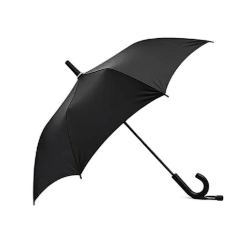 umbrella, staff, hat, weapon, photorealistic, 3d render, concept art, rain transparent PNG cut-out