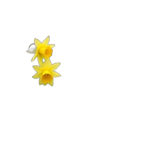 flower, jewelry, crown, staff transparent PNG cut-out