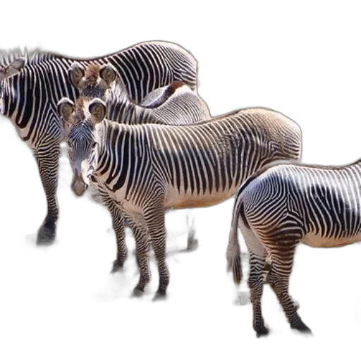 animal, creature, jewelry, weapon, 3d render, photorealistic, concept art, monochrome transparent PNG cut-out