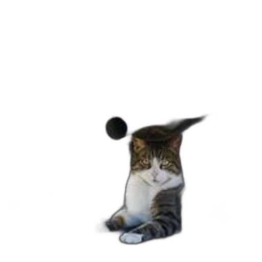 staff, animal, hat, umbrella, photorealistic, 3d render, pixel art, concept art transparent PNG cut-out