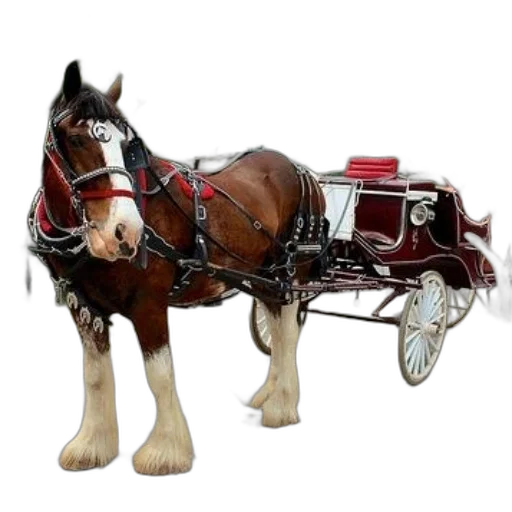 staff, animal, car, photorealistic, 3d render, majestic, clydesdale, horse transparent PNG cut-out