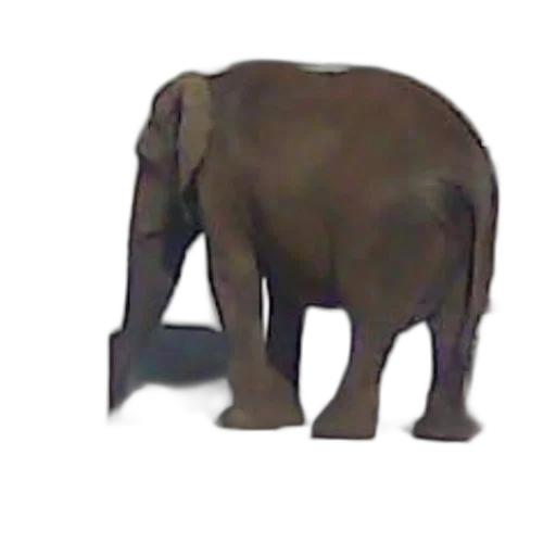 animal, creature, face, weapon, 3d render, concept art, photorealistic, pixel art transparent PNG cut-out