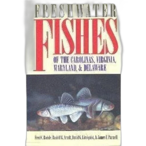 underwater, cover, freshwater, fishes, carolinas, virginia, maryland, delaware transparent PNG cut-out