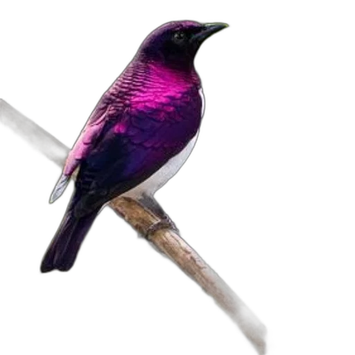 animal, staff, sword, weapon, 3d render, photorealistic, concept art, vaporwave transparent PNG cut-out