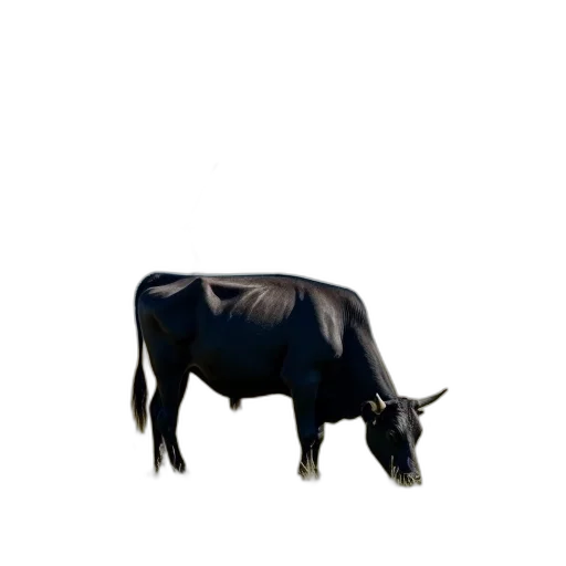 animal, food, creature, jewelry, 3d render, photorealistic, concept art, pixel art transparent PNG cut-out