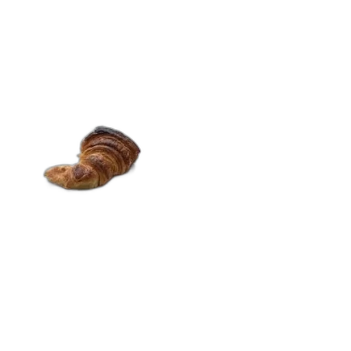 food, animal, hair, shoes, photorealistic, 3d render, pixel art, person transparent PNG cut-out
