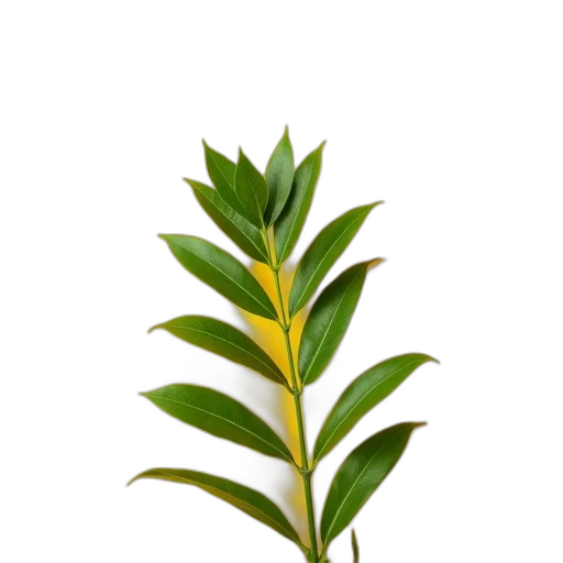 tree, staff, crown, flower transparent PNG cut-out