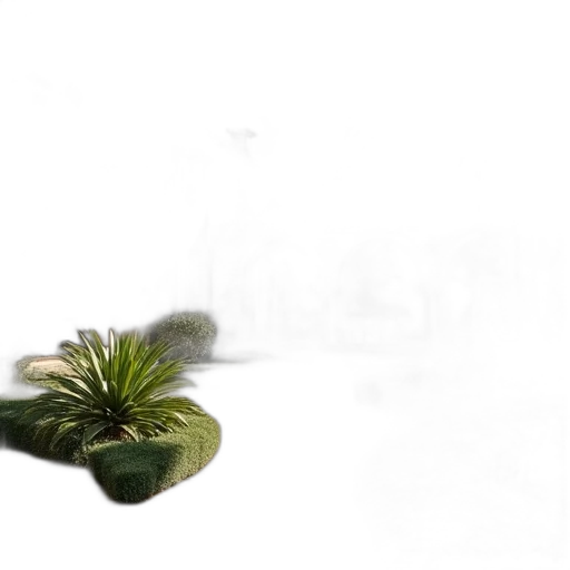 umbrella, flower, tree, hair transparent PNG cut-out