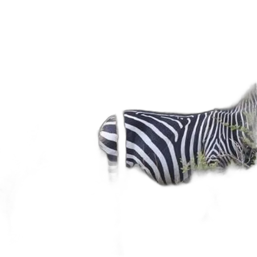 shoes, animal, umbrella, dress, 3d render, photorealistic, concept art, underwater transparent PNG cut-out