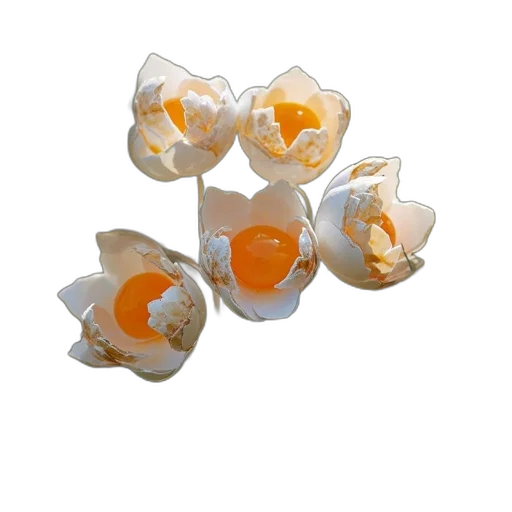 jewelry, food, crown, flower, 3d render, photorealistic, artistic, eggshell transparent PNG cut-out