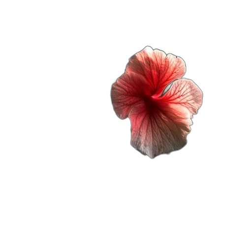 flower, umbrella, crown, hat, 3d render, photorealistic, vaporwave, concept art transparent PNG cut-out