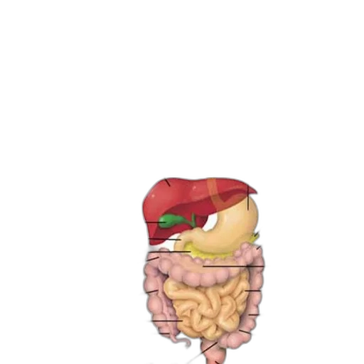 food, hat, crown, creature, pixel art, concept art, 3d render, vaporwave transparent PNG cut-out