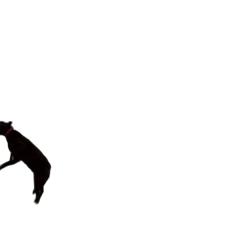 dragon, animal, staff, creature, concept art, pixel art, 3d render, photorealistic transparent PNG cut-out
