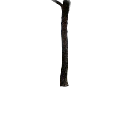 staff, weapon, sword, hair, 3d render, photorealistic, concept art, serene transparent PNG cut-out