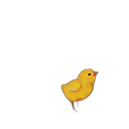 animal, food, creature, dress, pixel art, 3d render, photorealistic, concept art transparent PNG cut-out