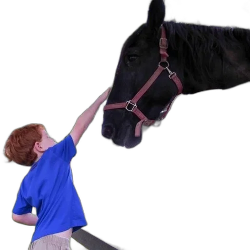 animal, staff, creature, weapon, photorealistic, young, boy, blue transparent PNG cut-out