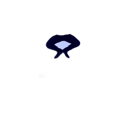 hat, crown, staff, umbrella transparent PNG cut-out