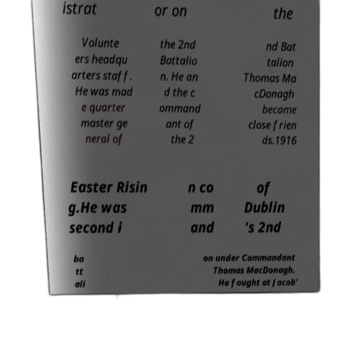 bottle, crown, furniture, poster, text, about, easter, rising transparent PNG cut-out