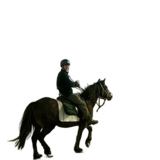 staff, animal, jacket, hat, photorealistic, concept art, 3d render, oil painting transparent PNG cut-out