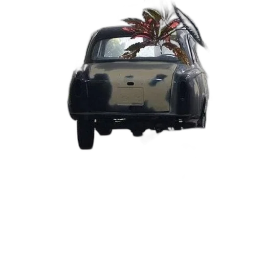car, dragon, animal, creature transparent PNG cut-out