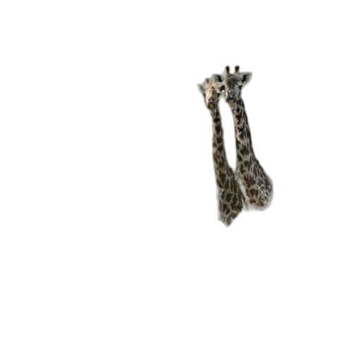 jewelry, crown, staff, sword, 3d render, photorealistic, three, giraffes transparent PNG cut-out