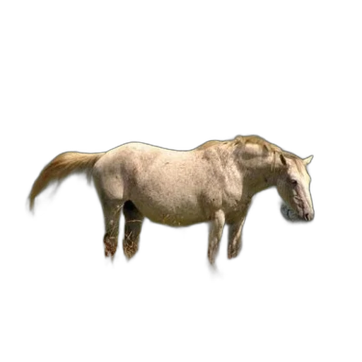 animal, creature, staff, dragon, 3d render, photorealistic, concept art, pixel art transparent PNG cut-out