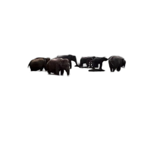 animal, food, pixel art, concept art, elephants, wading, river, trees transparent PNG cut-out