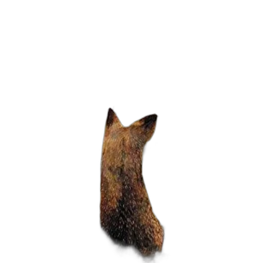 animal, hat, staff, hair, photorealistic, 3d render, concept art, oil painting transparent PNG cut-out
