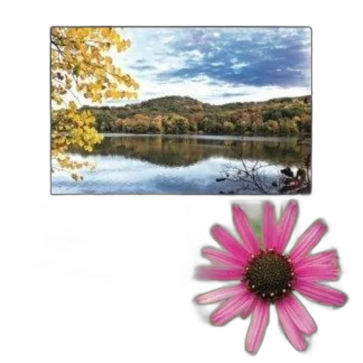 flower, jewelry, furniture, photorealistic, 3d render, forest, earth tones, colorful transparent PNG cut-out