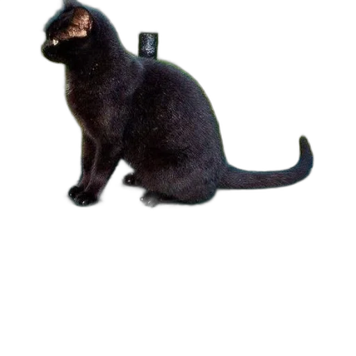 staff, animal, weapon, creature, 3d render, photorealistic, concept art, pixel art transparent PNG cut-out