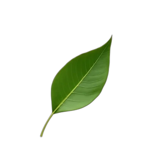staff, tree, food, flower, photorealistic, 3d render, concept art, green transparent PNG cut-out