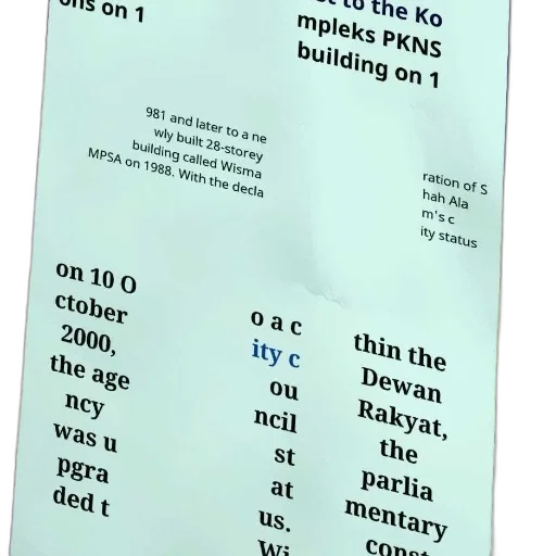 face, mask, jewelry, tree, document, 1981, mentions, construction transparent PNG cut-out