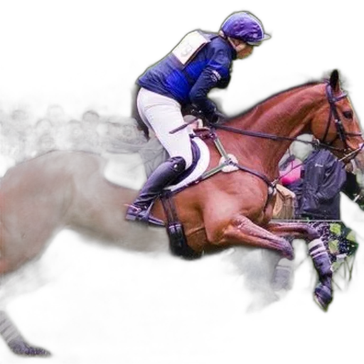 animal, photorealistic, rider, chestnut, horse, jumps, over, obstacle transparent PNG cut-out