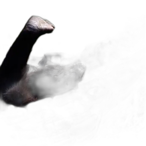 mask, animal, creature, dragon, photorealistic, concept art, fog, snow transparent PNG cut-out