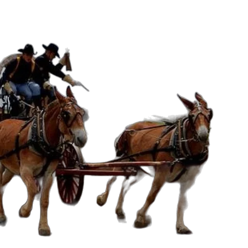 concept art, 3d render, photorealistic, two, men, horseback, cowboy, hats transparent PNG cut-out