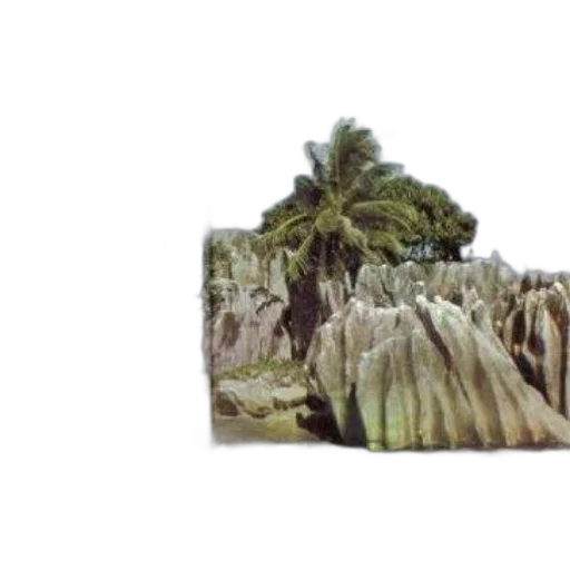 tree, jacket, hair, hat, 3d render, photorealistic, concept art, vaporwave transparent PNG cut-out