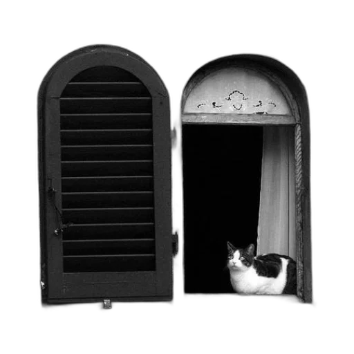 furniture, animal, photorealistic, 3d render, monochrome, black, white, photo transparent PNG cut-out