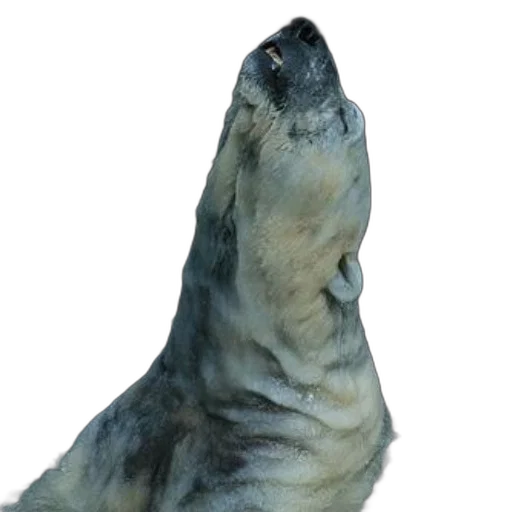 animal, creature, staff, hair, 3d render, photorealistic, concept art, underwater transparent PNG cut-out
