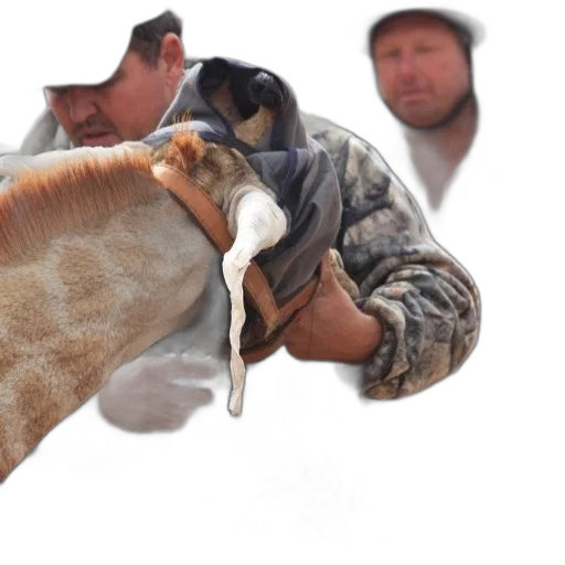 animal, creature, hat, weapon, photorealistic, man, camouflage, clothing transparent PNG cut-out