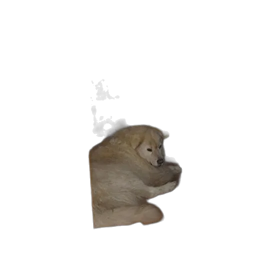 animal, creature, face, staff, 3d render, concept art, photorealistic, pixel art transparent PNG cut-out