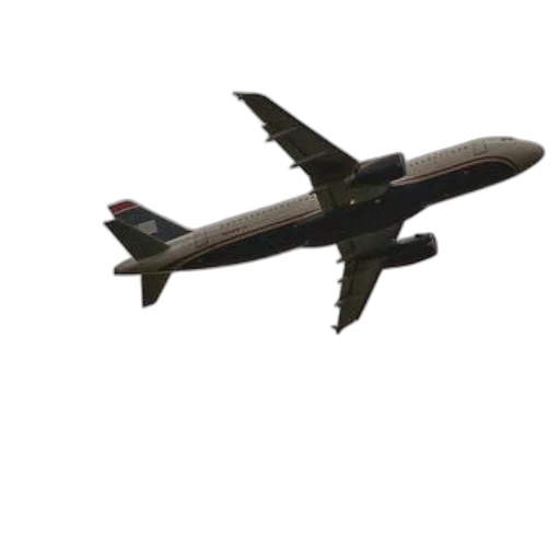 animal, staff, 3d render, photorealistic, commercial, airplane, flight, against transparent PNG cut-out