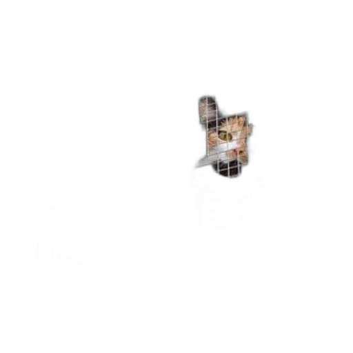 animal, robot, creature, face transparent PNG cut-out