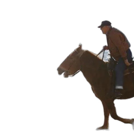 animal, staff, concept art, photorealistic, man, jacket, hat, rides transparent PNG cut-out