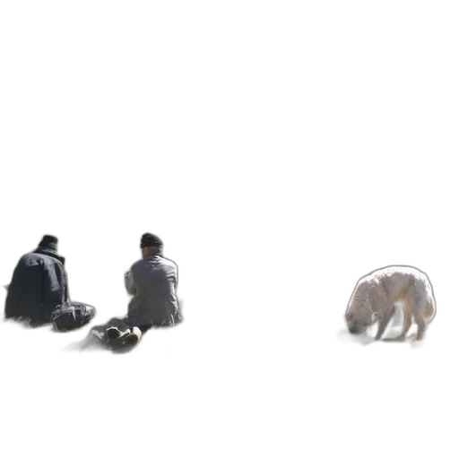 animal, creature, jacket, robot transparent PNG cut-out