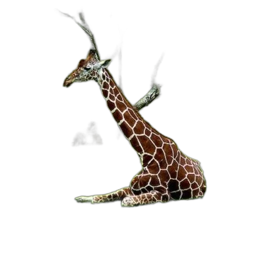 animal, creature, dragon, staff, concept art, 3d render, photorealistic, fantasy art transparent PNG cut-out