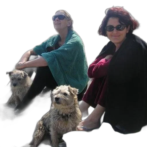 staff, photorealistic, two, women, their, dogs, enjoy, sunny transparent PNG cut-out