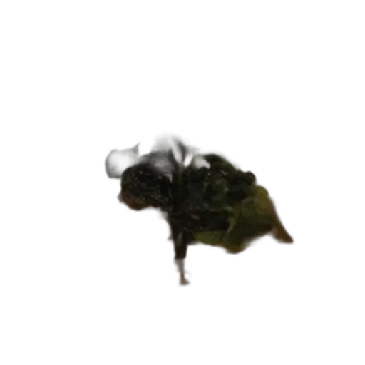dragon, creature, animal, hair, 3d render, concept art, photorealistic, pixel art transparent PNG cut-out
