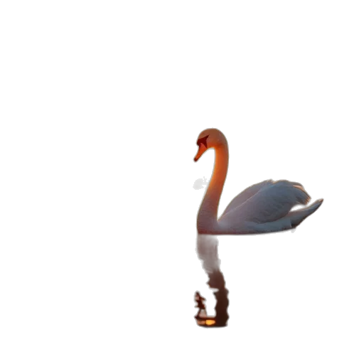 animal, hat, creature, weapon transparent PNG cut-out