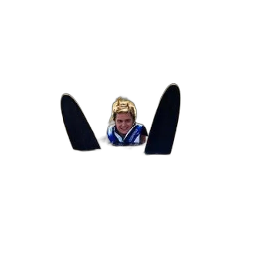 crown, staff, hat, jewelry, person, life, jacket, water transparent PNG cut-out